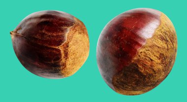 Kestane, kırpma yolu ile izole edilmiş, yeşil arka planda gölge yok, taze ve sağlıklı yiyecek.