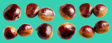 Kestane, kırpma yolu ile izole edilmiş, yeşil arka planda gölge yok, taze ve sağlıklı yiyecek.