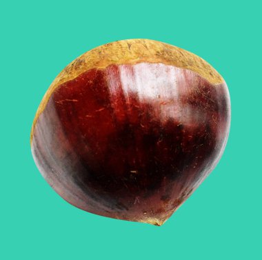 Kestane, kırpma yolu ile izole edilmiş, yeşil arka planda gölge yok, taze ve sağlıklı yiyecek.