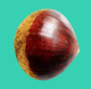 Kestane, kırpma yolu ile izole edilmiş, yeşil arka planda gölge yok, taze ve sağlıklı yiyecek.