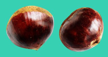 Kestane, kırpma yolu ile izole edilmiş, yeşil arka planda gölge yok, taze ve sağlıklı yiyecek.