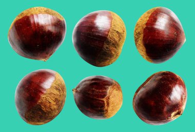 Kestane, kırpma yolu ile izole edilmiş, yeşil arka planda gölge yok, taze ve sağlıklı yiyecek.