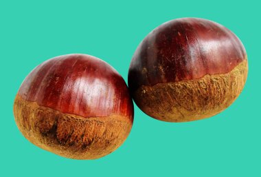 Kestane, kırpma yolu ile izole edilmiş, yeşil arka planda gölge yok, taze ve sağlıklı yiyecek.