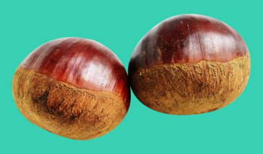 Kestane, kırpma yolu ile izole edilmiş, yeşil arka planda gölge yok, taze ve sağlıklı yiyecek.