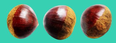 Kestane, kırpma yolu ile izole edilmiş, yeşil arka planda gölge yok, taze ve sağlıklı yiyecek.