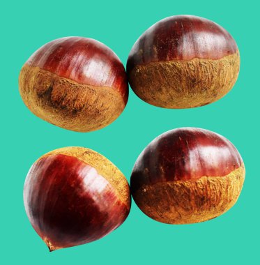 Kestane, kırpma yolu ile izole edilmiş, yeşil arka planda gölge yok, taze ve sağlıklı yiyecek.