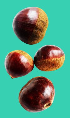 Kestane, kırpma yolu ile izole edilmiş, yeşil arka planda gölge yok, taze ve sağlıklı yiyecek.