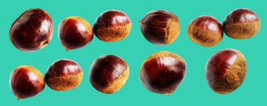 Kestane, kırpma yolu ile izole edilmiş, yeşil arka planda gölge yok, taze ve sağlıklı yiyecek.