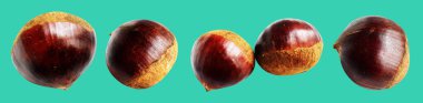 Kestane, kırpma yolu ile izole edilmiş, yeşil arka planda gölge yok, taze ve sağlıklı yiyecek.