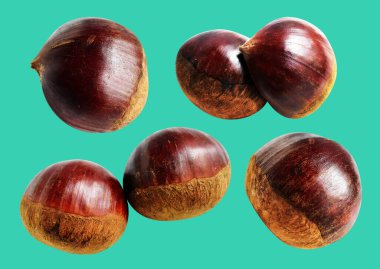 Kestane, kırpma yolu ile izole edilmiş, yeşil arka planda gölge yok, taze ve sağlıklı yiyecek.