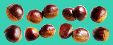Kestane, kırpma yolu ile izole edilmiş, yeşil arka planda gölge yok, taze ve sağlıklı yiyecek.