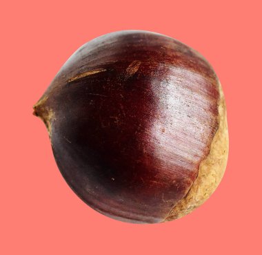 Kırpma yolu ile izole edilmiş kestane, pembe arka planda gölge yok, taze ve sağlıklı yiyecek.