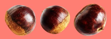 Kırpma yolu ile izole edilmiş kestane, pembe arka planda gölge yok, taze ve sağlıklı yiyecek.