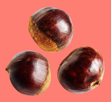 Kırpma yolu ile izole edilmiş kestane, pembe arka planda gölge yok, taze ve sağlıklı yiyecek.