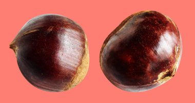 Kırpma yolu ile izole edilmiş kestane, pembe arka planda gölge yok, taze ve sağlıklı yiyecek.