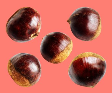 Kırpma yolu ile izole edilmiş kestane, pembe arka planda gölge yok, taze ve sağlıklı yiyecek.