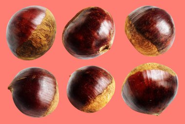 Kırpma yolu ile izole edilmiş kestane, pembe arka planda gölge yok, taze ve sağlıklı yiyecek.