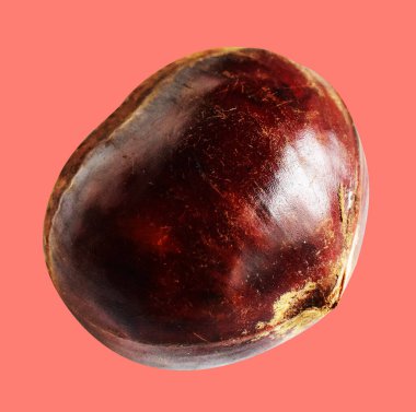 Kırpma yolu ile izole edilmiş kestane, pembe arka planda gölge yok, taze ve sağlıklı yiyecek.