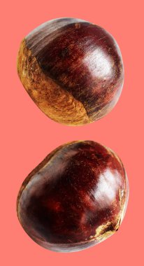 Kırpma yolu ile izole edilmiş kestane, pembe arka planda gölge yok, taze ve sağlıklı yiyecek.