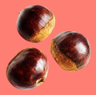 Kırpma yolu ile izole edilmiş kestane, pembe arka planda gölge yok, taze ve sağlıklı yiyecek.