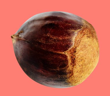 Kırpma yolu ile izole edilmiş kestane, pembe arka planda gölge yok, taze ve sağlıklı yiyecek.