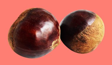 Kırpma yolu ile izole edilmiş kestane, pembe arka planda gölge yok, taze ve sağlıklı yiyecek.