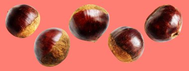 Kırpma yolu ile izole edilmiş kestane, pembe arka planda gölge yok, taze ve sağlıklı yiyecek.
