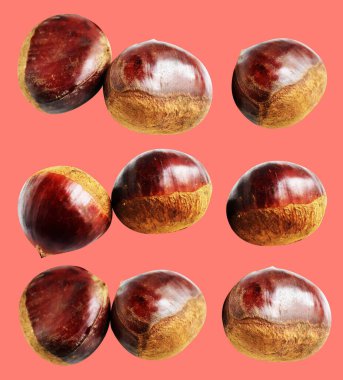 Kırpma yolu ile izole edilmiş kestane, pembe arka planda gölge yok, taze ve sağlıklı yiyecek.