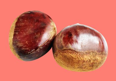 Kırpma yolu ile izole edilmiş kestane, pembe arka planda gölge yok, taze ve sağlıklı yiyecek.