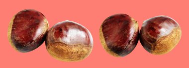 Kırpma yolu ile izole edilmiş kestane, pembe arka planda gölge yok, taze ve sağlıklı yiyecek.