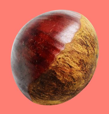 Kırpma yolu ile izole edilmiş kestane, pembe arka planda gölge yok, taze ve sağlıklı yiyecek.