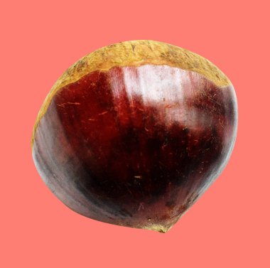 Kırpma yolu ile izole edilmiş kestane, pembe arka planda gölge yok, taze ve sağlıklı yiyecek.