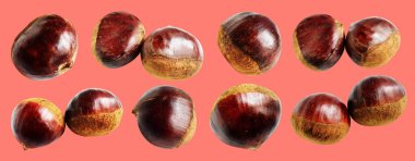 Kırpma yolu ile izole edilmiş kestane, pembe arka planda gölge yok, taze ve sağlıklı yiyecek.