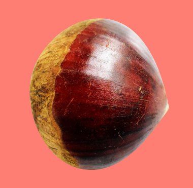 Kırpma yolu ile izole edilmiş kestane, pembe arka planda gölge yok, taze ve sağlıklı yiyecek.