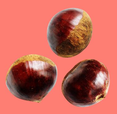 Kırpma yolu ile izole edilmiş kestane, pembe arka planda gölge yok, taze ve sağlıklı yiyecek.