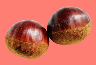 Kırpma yolu ile izole edilmiş kestane, pembe arka planda gölge yok, taze ve sağlıklı yiyecek.