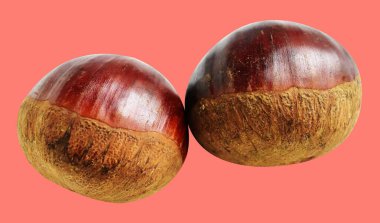 Kırpma yolu ile izole edilmiş kestane, pembe arka planda gölge yok, taze ve sağlıklı yiyecek.