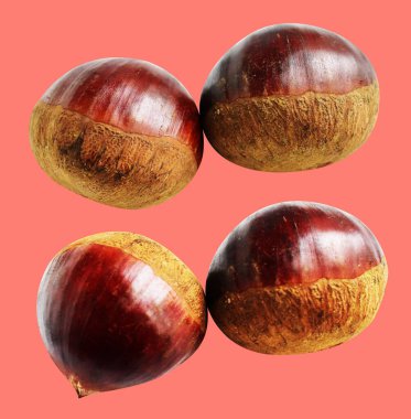 Kırpma yolu ile izole edilmiş kestane, pembe arka planda gölge yok, taze ve sağlıklı yiyecek.