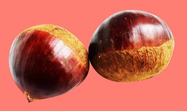 Kırpma yolu ile izole edilmiş kestane, pembe arka planda gölge yok, taze ve sağlıklı yiyecek.