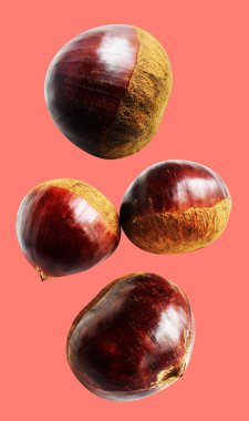 Kırpma yolu ile izole edilmiş kestane, pembe arka planda gölge yok, taze ve sağlıklı yiyecek.