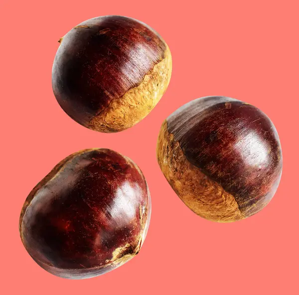 Kırpma yolu ile izole edilmiş kestane, pembe arka planda gölge yok, taze ve sağlıklı yiyecek.