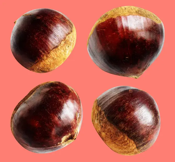 Kırpma yolu ile izole edilmiş kestane, pembe arka planda gölge yok, taze ve sağlıklı yiyecek.