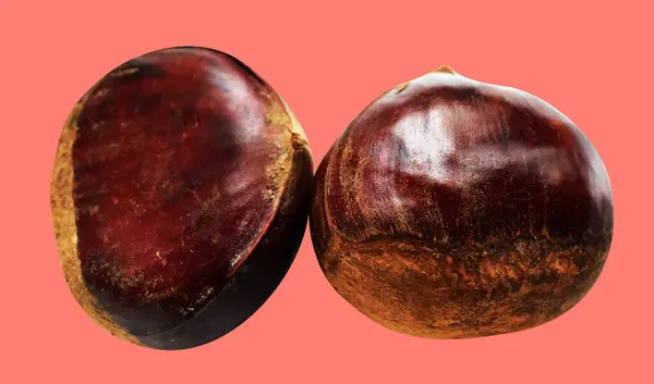 Kırpma yolu ile izole edilmiş kestane, pembe arka planda gölge yok, taze ve sağlıklı yiyecek.