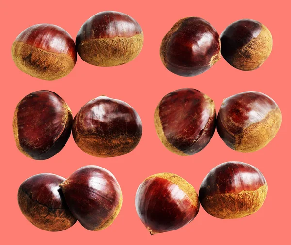 Kırpma yolu ile izole edilmiş kestane, pembe arka planda gölge yok, taze ve sağlıklı yiyecek.
