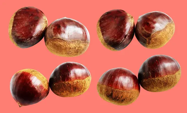 Kırpma yolu ile izole edilmiş kestane, pembe arka planda gölge yok, taze ve sağlıklı yiyecek.