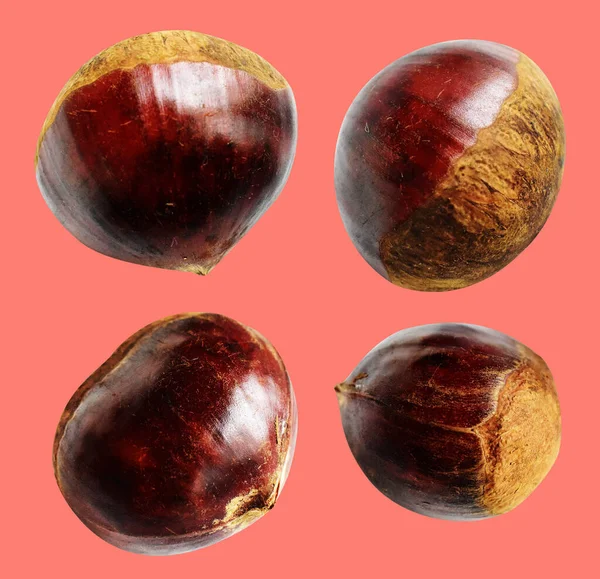 Kırpma yolu ile izole edilmiş kestane, pembe arka planda gölge yok, taze ve sağlıklı yiyecek.