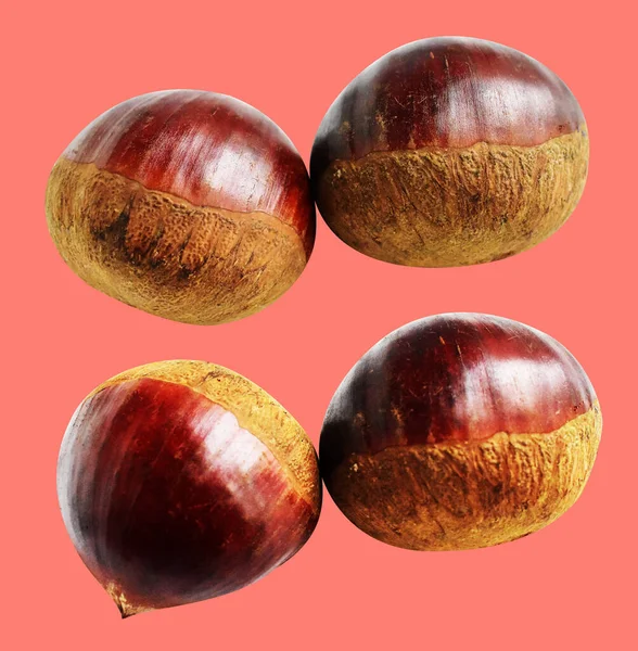 Kırpma yolu ile izole edilmiş kestane, pembe arka planda gölge yok, taze ve sağlıklı yiyecek.