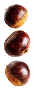 Kestane, kırpma yolu ile izole edilmiş, beyaz arka planda gölge yok, taze ve sağlıklı yiyecek.