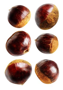 Kestane, kırpma yolu ile izole edilmiş, beyaz arka planda gölge yok, taze ve sağlıklı yiyecek.