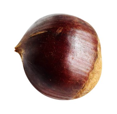 Kestane, kırpma yolu ile izole edilmiş, beyaz arka planda gölge yok, taze ve sağlıklı yiyecek.